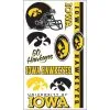 Iowa Hawkeyes Tattoos 10ct