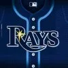 Tampa Bay Rays Lunch Napkins 36ct -Costume Party Decor Store 313291