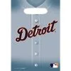 Detroit Tigers Favor Bags 8ct -Costume Party Decor Store 344177