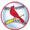 St. Louis Cardinals Cutout 1 St. Louis Cardinals Cutout -Costume Party Decor Store 471914