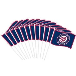 Washington Nationals Mini Flags 12ct