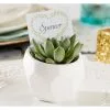 Succulent White Geometric Planters -Costume Party Decor Store 635508