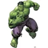 Hulk Life-Size Cardboard Cutout - Avengers -Costume Party Decor Store 665292