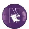 Northwestern Wildcats Balloon