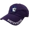 Northwestern Wildcats Baseball Hat -Costume Party Decor Store 808485