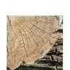 Havercamp Cut Timber Lunch Napkins 16ct -Costume Party Decor Store 827025