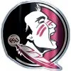 Florida State Seminoles Decal -Costume Party Decor Store 827327