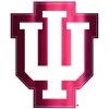 Indiana Hoosiers Decal -Costume Party Decor Store 827331