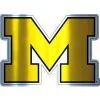 Michigan Wolverines Decal -Costume Party Decor Store 827342