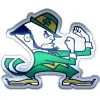 Notre Dame Fighting Irish Decal -Costume Party Decor Store 827352