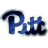 Pittsburgh Panthers Decal -Costume Party Decor Store 827359