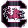 South Carolina Gamecocks Decal