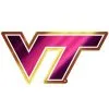 Virginia Tech Hokies Decal -Costume Party Decor Store 827371