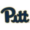 Pittsburgh Panthers Sign -Costume Party Decor Store 828091