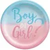 Boy Or Girl? Gender Reveal Paper Dinner Plates, 10.5in, 8ct - The Big Reveal -Costume Party Decor Store 914432