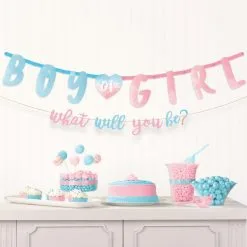 Boy Or Girl Gender Reveal Letter Banner Set, 2pc - The Big Reveal