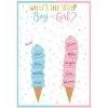 Ice Cream-Themed Boy Or Girl Gender Reveal Voting Board With 24 Stickers - The Big Reveal -Costume Party Decor Store 914440