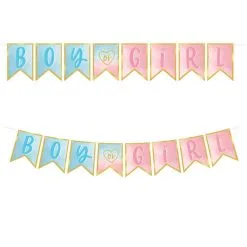 The Big Reveal Photo Props & Banner, 21pc -Costume Party Decor Store 914448 02