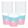 Boy Or Girl? Gender Reveal Plastic Cups, 16oz, 25ct - The Big Reveal 2 Boy Or Girl? Gender Reveal Plastic Cups, 16oz, 25ct - The Big Reveal -Costume Party Decor Store 914450