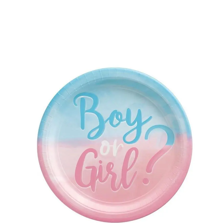 Gender Reveal Party Kit For 16 Guests 4 Gender Reveal Party Kit For 16 Guests - Image 2