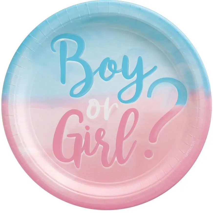 Gender Reveal Party Kit For 16 Guests 5 Gender Reveal Party Kit For 16 Guests - Image 3