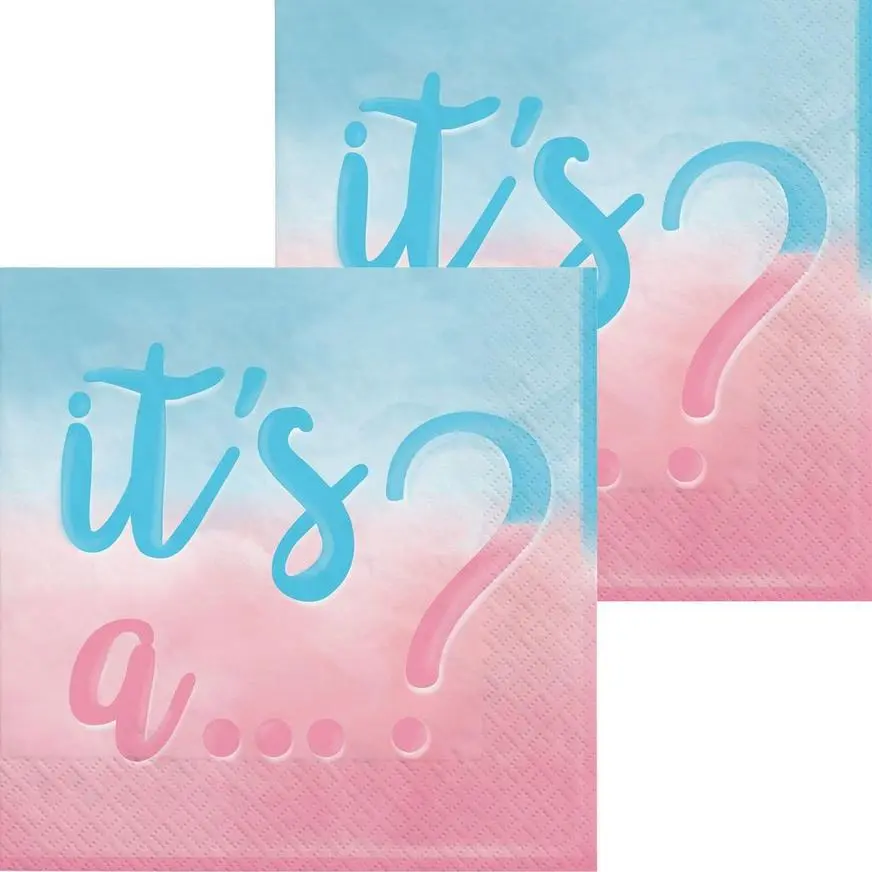 Gender Reveal Party Kit For 16 Guests 6 Gender Reveal Party Kit For 16 Guests - Image 4