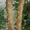 Warm White LED String Lights, 100 3mm Bulbs, 37ft -Costume Party Decor Store 949819