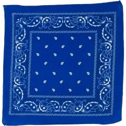 Blue Paisley Bandana, 20in X 20in -Costume Party Decor Store C30842 royal blue 01