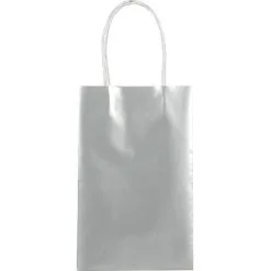 Medium Metallic Silver Kraft Gift Bags 10ct