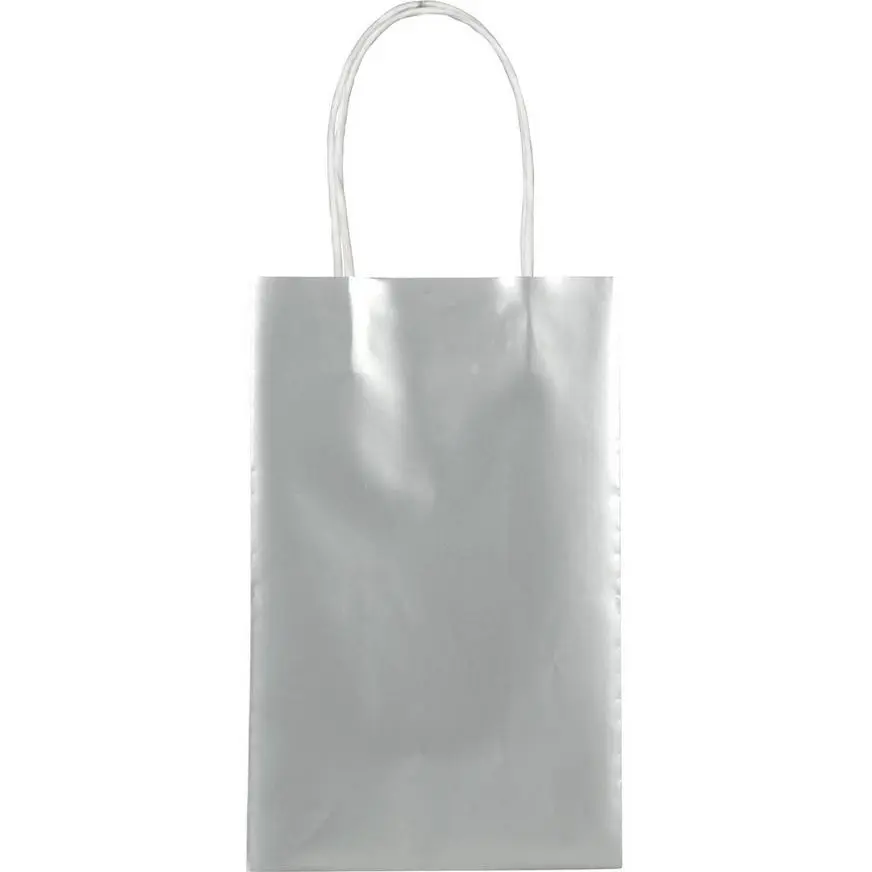 Medium Metallic Silver Kraft Gift Bags 10ct 3 Medium Metallic Silver Kraft Gift Bags 10ct
