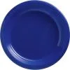 Royal Blue Plastic Dinner Plates, 10.25in, 50ct -Costume Party Decor Store CN262820 royal blue 5020 20Standard