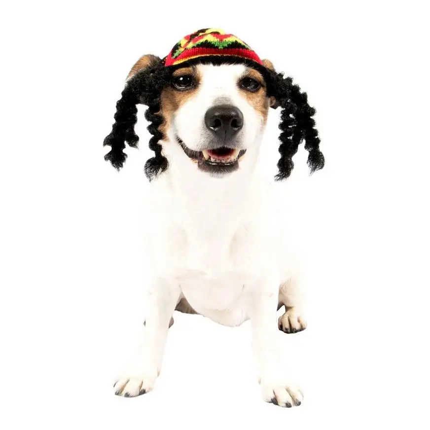 Rasta Dog Costume 3 Rasta Dog Costume