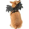 Black Sparkle Bat Wings Dog Harness -Costume Party Decor Store P844188