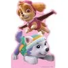Standee Skye & Everest Centerpiece Cardboard Cutout, 18in - PAW Patrol -Costume Party Decor Store P880825