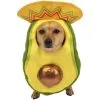 Avocado Sombrero Costume For Dogs -Costume Party Decor Store P890643