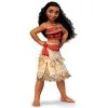 Disney Moana Cardboard Cutout, 3ft -Costume Party Decor Store P895244