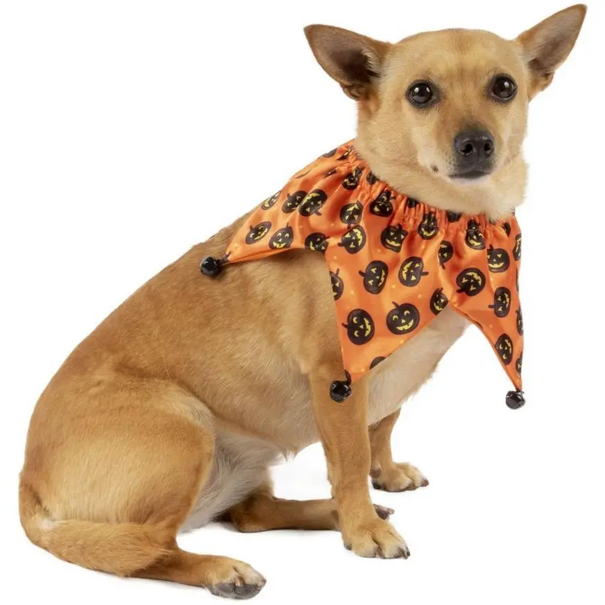 Halloween Pumpkin Jester Collar For Dogs 3 Halloween Pumpkin Jester Collar For Dogs