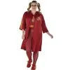 AMSCAN Adult Gryffindor Quidditch Plus Size Costume - Harry Potter -Costume Party Decor Store P941257
