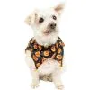 Party City Black & Orange Jack-o'-Lantern Dog Scrunchie Collar 1 Party City Black & Orange Jack-o'-Lantern Dog Scrunchie Collar -Costume Party Decor Store P943160