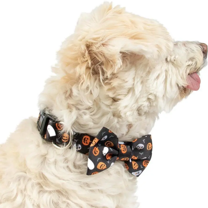 Party City Halloween Icons Bow Tie Dog Collar 4 Party City Halloween Icons Bow Tie Dog Collar - Image 2
