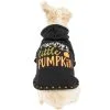 Party City Mommy's Little Pumpkin Dog Hoodie -Costume Party Decor Store P943184